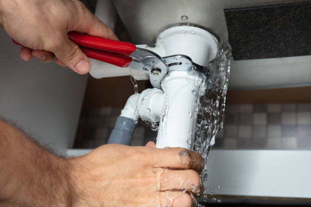 Best Water damage restoration mold remediation  in Desoto Lakes, FL