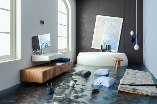 Water damage restoration mold remediation in Desoto Lakes, FL