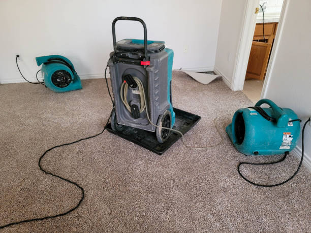 Best Water damage restoration near me  in Desoto Lakes, FL