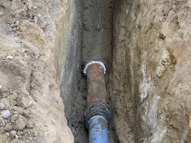 Best Sewage cleanup and water damage restoration  in Desoto Lakes, FL
