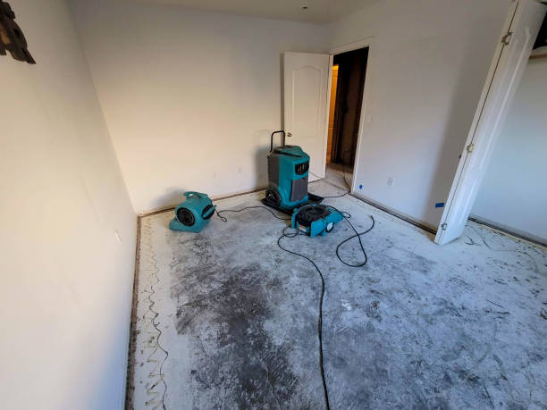 Best Flood damage cleanup  in Desoto Lakes, FL