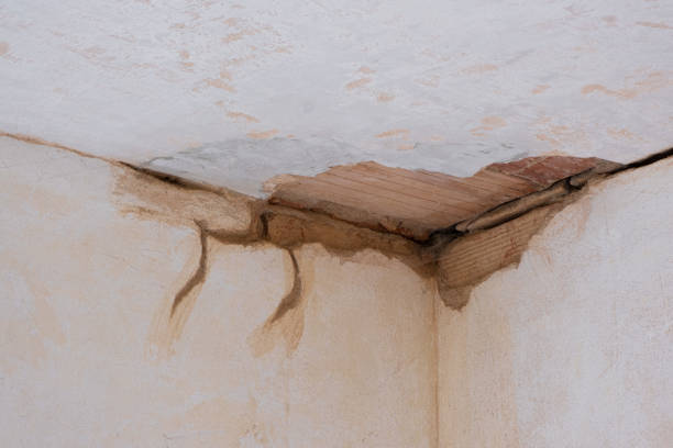 Best Commercial water damage restoration  in Desoto Lakes, FL