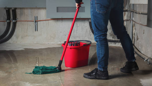 Best Water damage restoration near me  in Desoto Lakes, FL