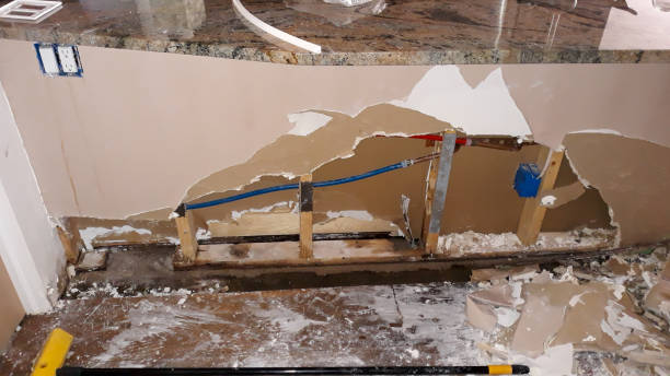 Best Water damage contractors near me  in Desoto Lakes, FL