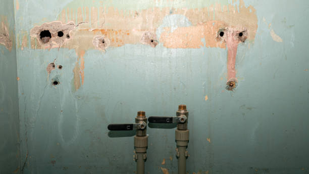 Water damage restoration process in Desoto Lakes, FL