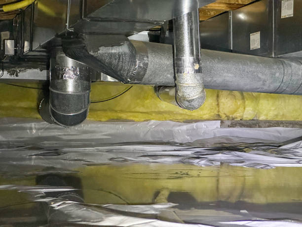 Best Water damage restoration process  in Desoto Lakes, FL