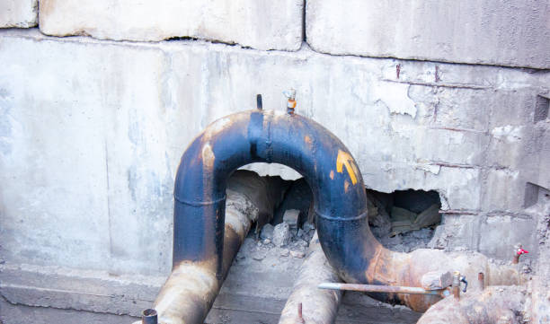 Best Local water damage restoration  in Desoto Lakes, FL
