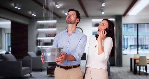Best Flood restoration services  in Desoto Lakes, FL