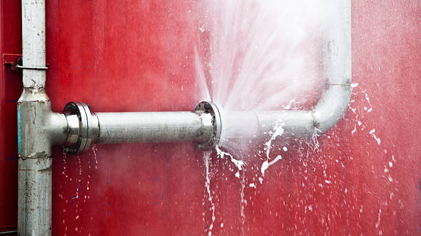 Best Water damage contractors near me  in Desoto Lakes, FL