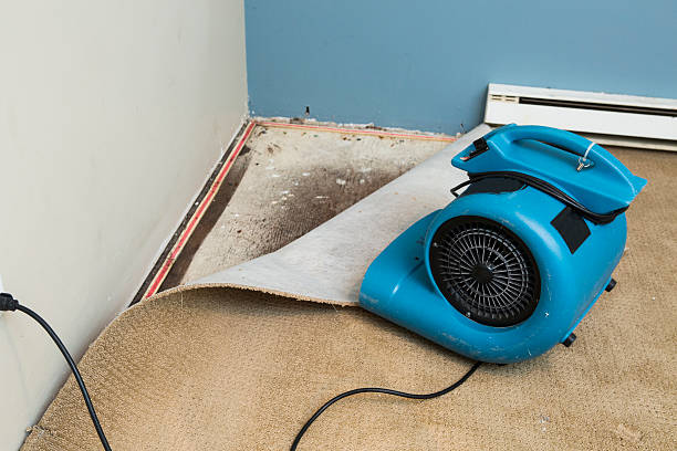 Best Residential water damage restoration  in Desoto Lakes, FL