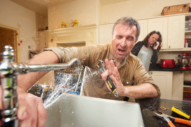 Best Fire Damage Restoration  in Desoto Lakes, FL